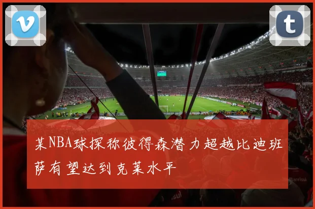 某NBA球探称彼得森潜力超越比迪班萨有望达到克莱水平
